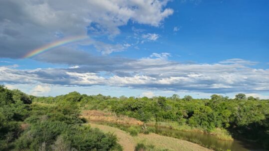 Rainbow over Selati River at Pidwa Wilderness Reserve